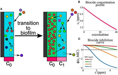 A computational model for microbial colonization of an antifouling surface